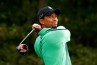 Tiger-Woods-Vermoegen