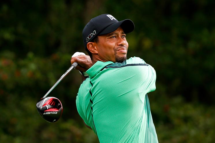 Tiger-Woods-Vermoegen