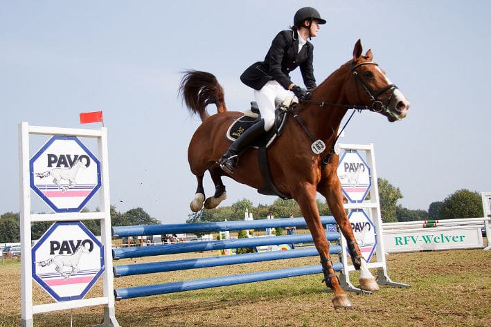 Reiten