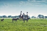 Serengeti-im-Norden-Tansanias