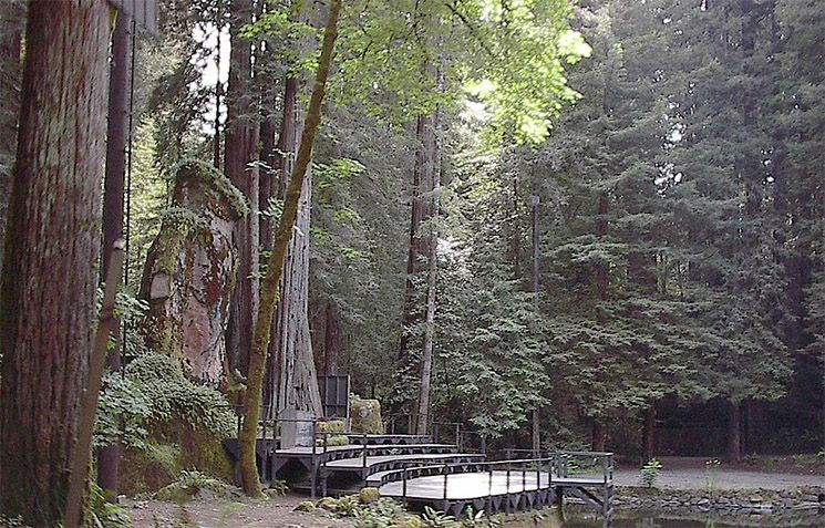 Bohemian Grove - Sagenumwobenes Treffen der Elite im Waldgebiet