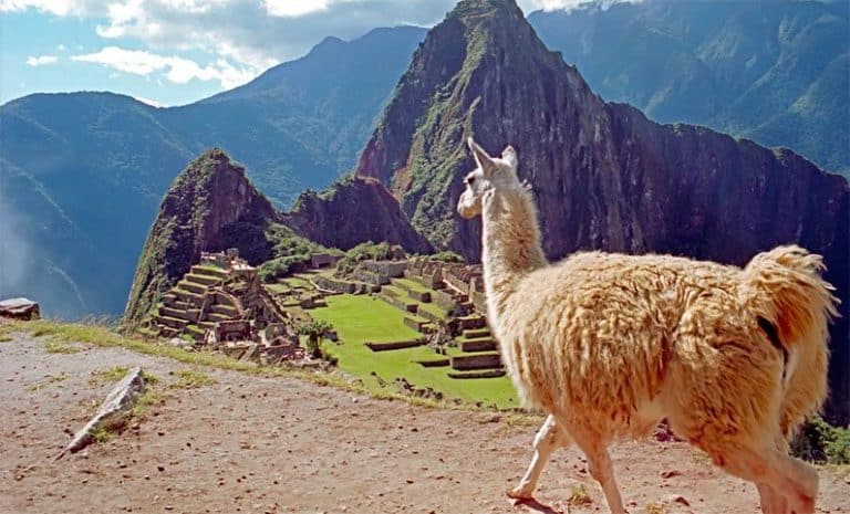 Machu-Pichu