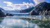 Die Norwegian Bliss kreuzt durch das eisige Alaska