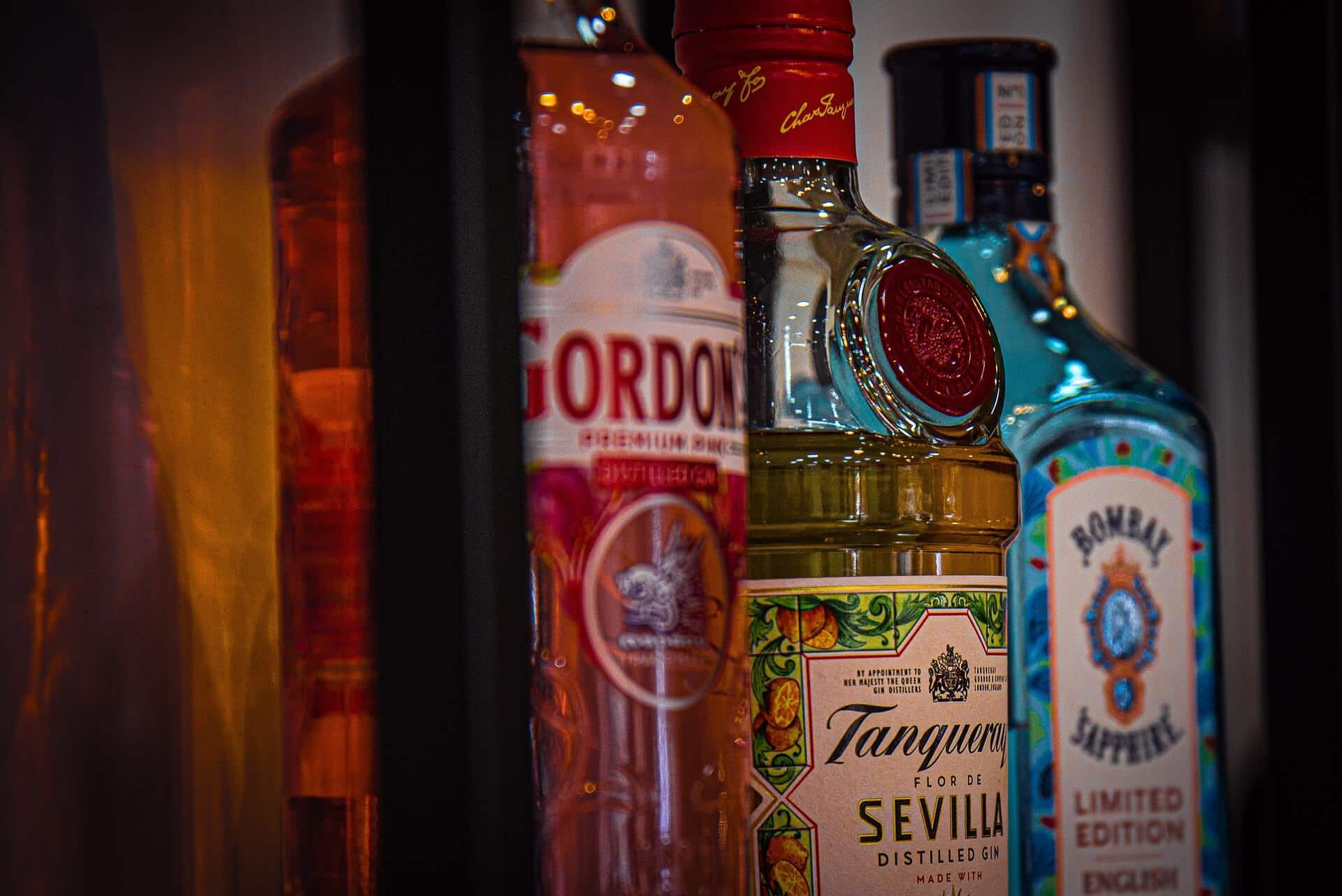 Gin - Das Trendgetränk Gin - Das Trendgetränk
