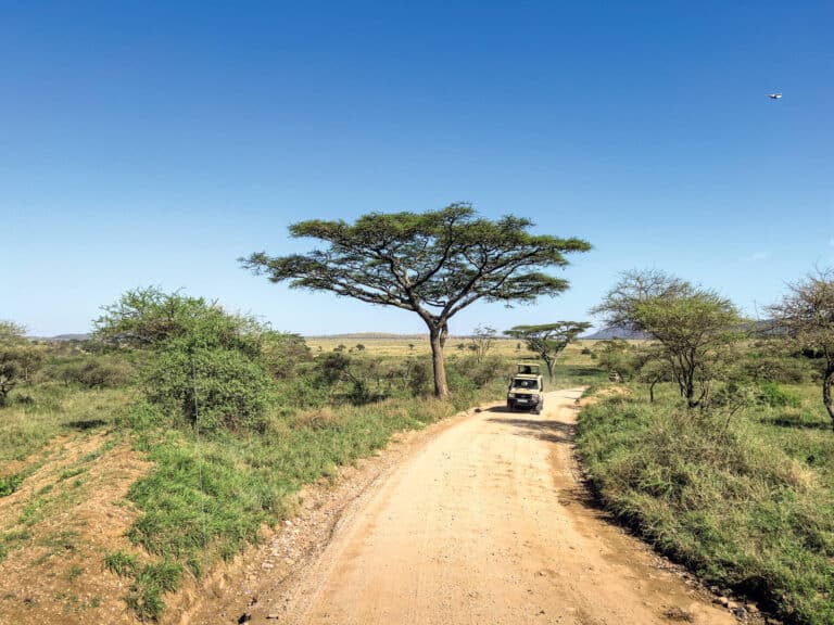 Luxusreisen und Abenteuer: Von exklusiven Safaris bis hin zu Helikopter-Touren