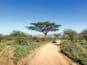 Luxusreisen und Abenteuer: Von exklusiven Safaris bis hin zu Helikopter-Touren
